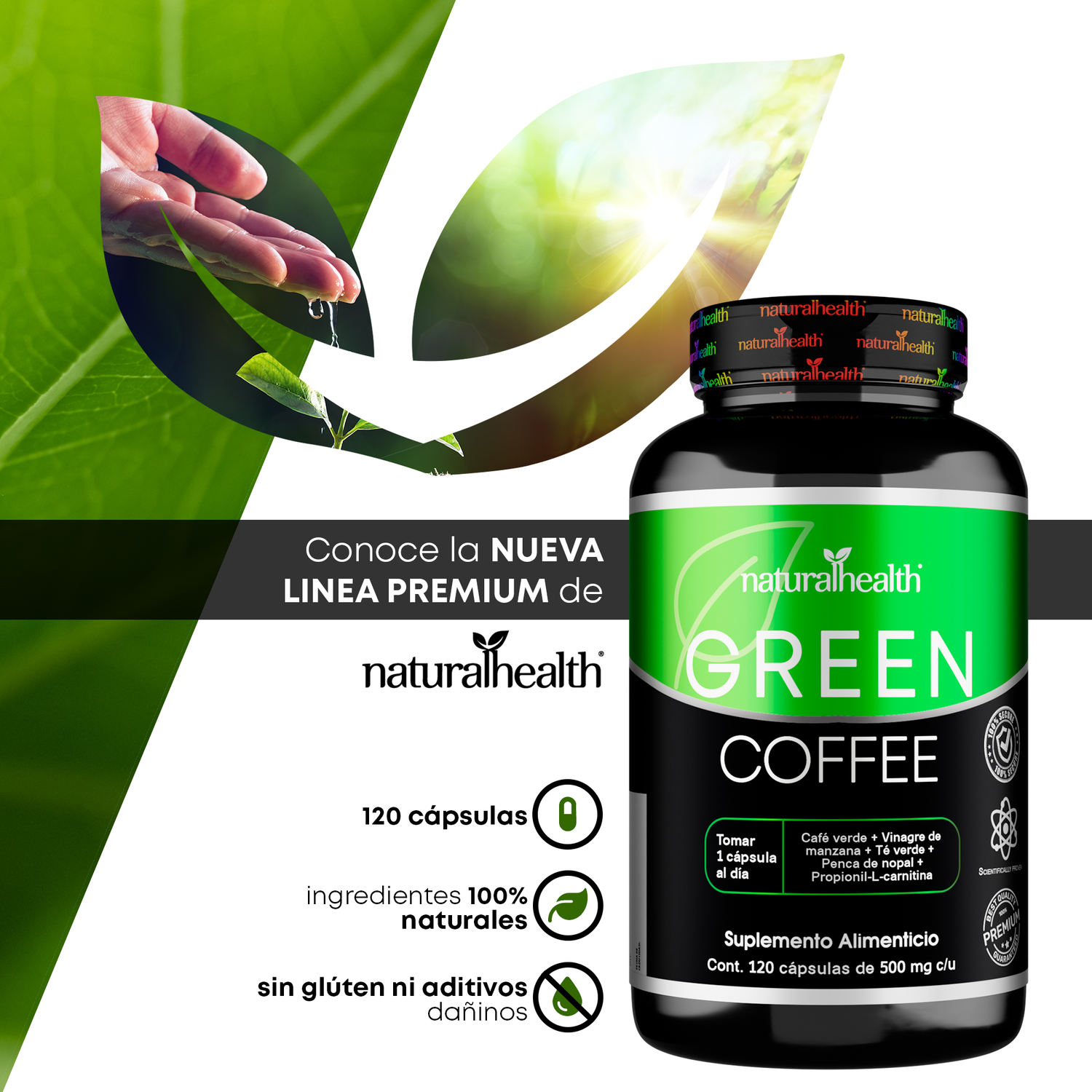 Green Coffee Vinagre de Manzana Nopal 120 Caps Natural Health  Vitazone  Mxico