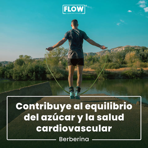 Berberina 500 mg 90 cápsulas FLOW