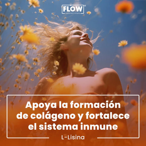 Lisina 90 cápsulas Flow