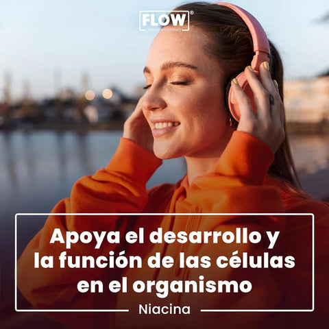 Niacina 90 cápsulas de 500 mg FLOW Vitamina B3 Niacinamida