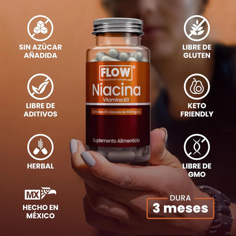 Niacina 90 cápsulas de 500 mg FLOW Vitamina B3 Niacinamida