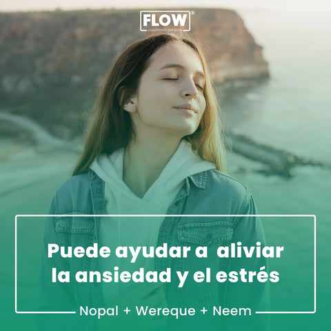 Nopal Wereke Neem 90 capsulas SINDAB Flow